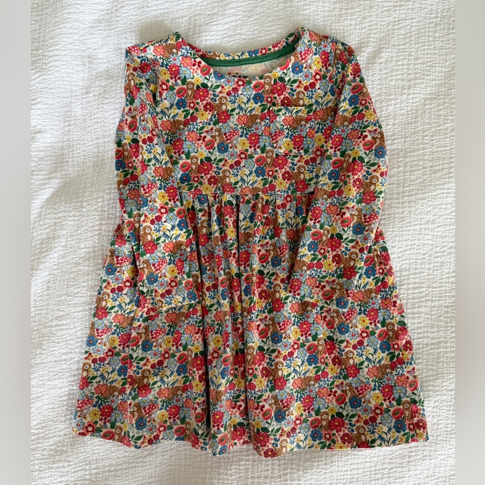 Mini Boden Puppy Floral Dress, size 4-5